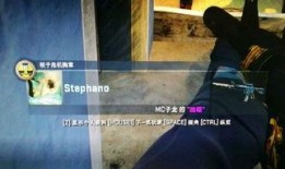 csgo新皮肤最新爆料,神秘图案揭示，玩家热议新视觉盛宴