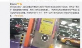 狗仔拍照爆料视频下载,揭秘明星幕后生活